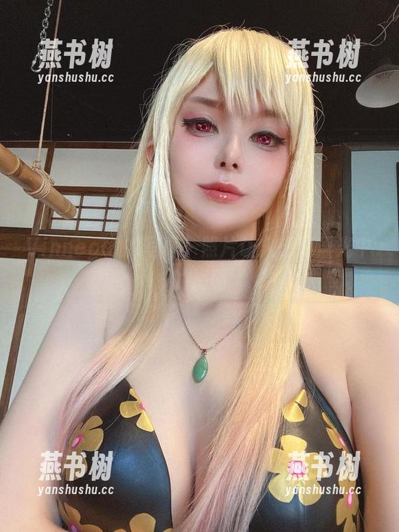 Vinnegal的写真，照片让人想到晨光中的海鸥